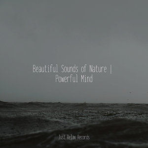 Sanctuary's Solace Bliss