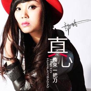 真心换来一把刀 (Dj何鹏版)