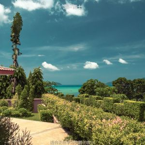 读迷人的轻音乐