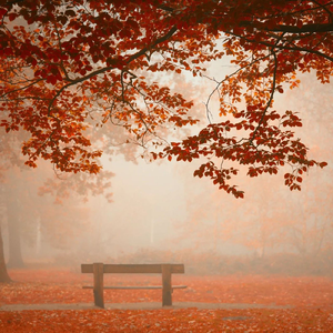 微光暖意（钢琴曲）