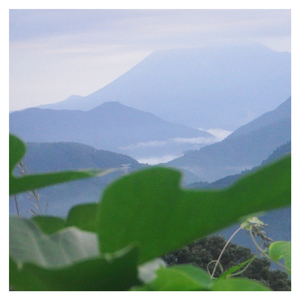 中空のテラス