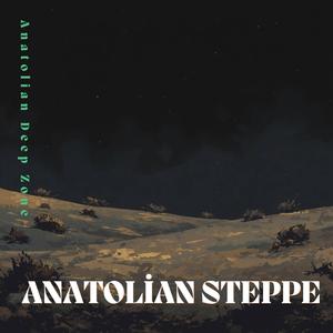 Anatolian Steppe