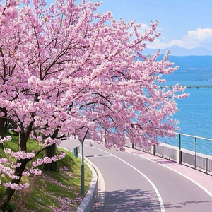 海里雾（Endless Sky)