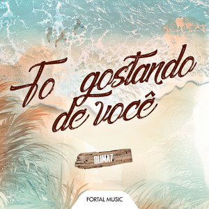 To Gostando de Você (Remix)