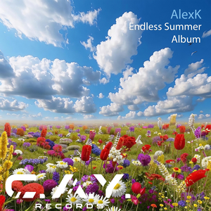 Endless Summer (Original Mix)