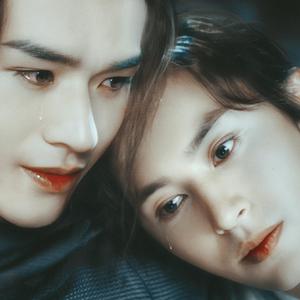 晚夜微雨问海棠