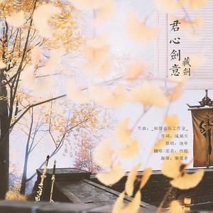 藏剑·君心剑意