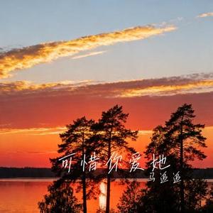 可惜你爱她 (Cover 向思思)