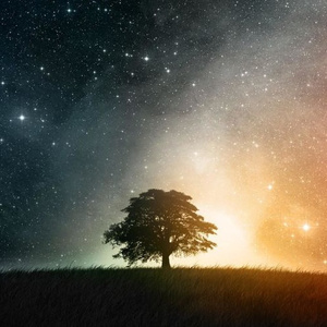 Past, Present & Future