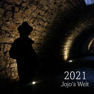 Auf den Hund gekommen: Landseer-Welpen-Glück