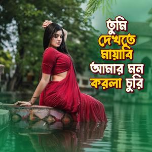 তুমি দেখতে মায়াবি আমার মন করলা চুরি