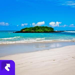 独行之路 (现场)