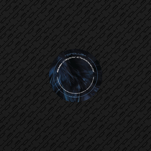 They Should Have Sent A Poet