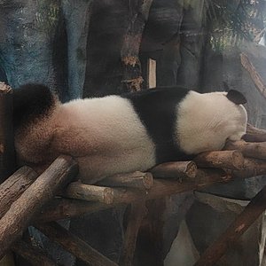 美丽海南我家乡