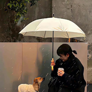 我爱你，这就是我的秘密（Cover 宿羽阳）