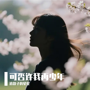 可否许我再少年