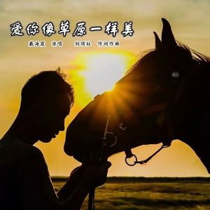 爱你像草原一样美--戴海霞