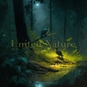 Soothing Nature (Rain)