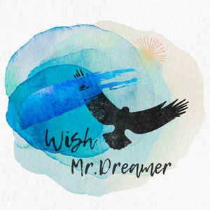 Mr.Dreamer