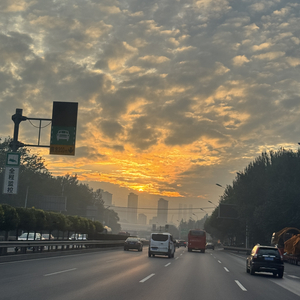 《风遇温柔》