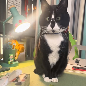 去北极忘记你.mp3