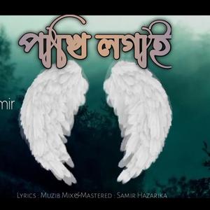 পাখি লগাই