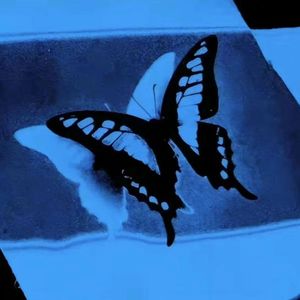 Butterfly (Krisdying feat）