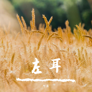 左耳