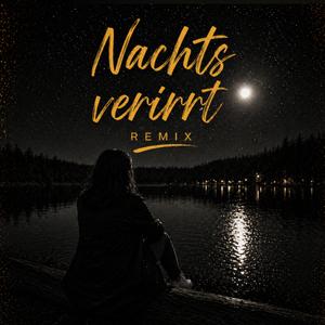 Nachts verirrt (feat. CHILLEDHEADLINER) (Remix Anni Gold)