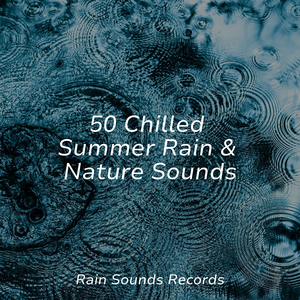 Whispers of Tranquil Rain