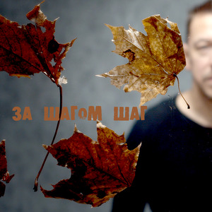 За шагом шаг