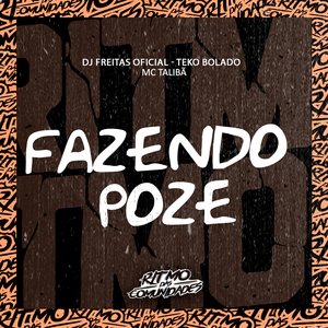 Fazendo Poze (feat. Ritmo das Comunidades Oficial)