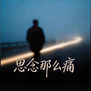 思念那么痛