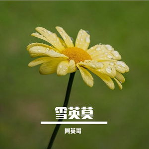 想你的条件反射