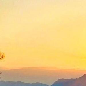 听清耳边的呢喃