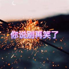 你的猫咪 (欢快版)