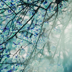 ミュージック(レトロムード)