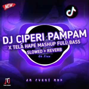 DJ CIPERI PAM PAM