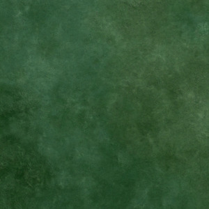 蒼鬼の風 (푸른 도깨비의 바람 / Soki no Kaze)