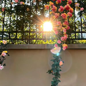 飞鸟在天空中自由翱翔