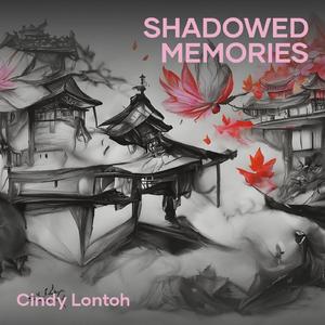 Shadowed Memories
