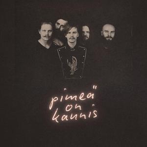 Pimeä on kaunis