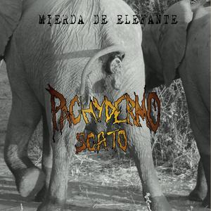 Pulmones encharcaos en mierda