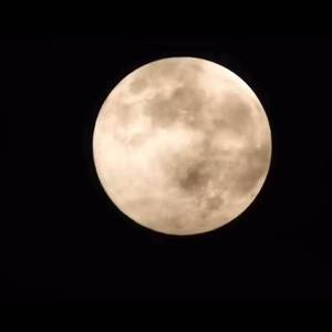 宠爱 （beat by 毒猫毒猫）