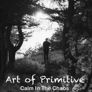 Calm in the Chaos