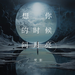 想你的时候问月亮