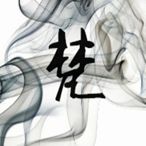 恰逢那年你明媚