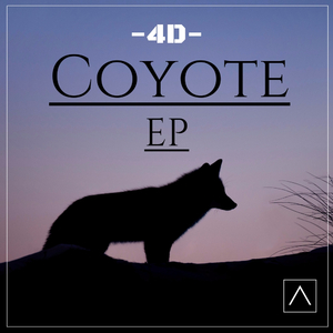 Coyote (Original Mix)