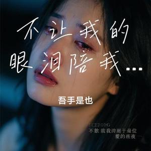不让我的眼泪陪我过夜 (吾手是也 Remix)
