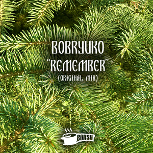 Remember (Original Mix)